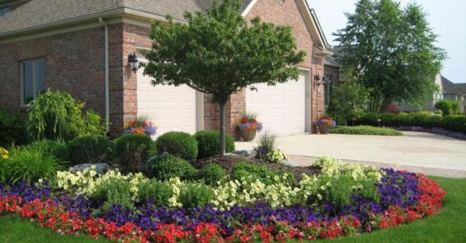 Enhancing Your Home's Curb Appeal with Plants
